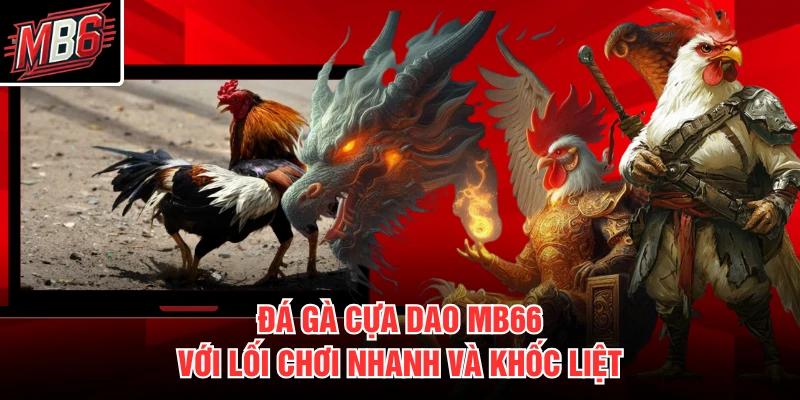 Đá Gà Cựa Sắt MB66 2 Đá gà cựa dao MB66 với lối chơi nhanh và khốc liệt