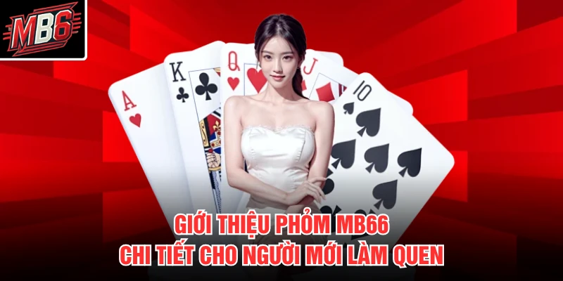 Giới thiệu phỏm MB66 chi tiết cho người mới làm quen